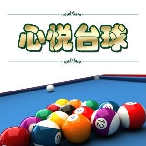 心悦台球器材