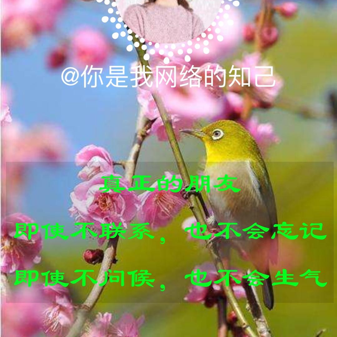 @人潮似海遇见你：