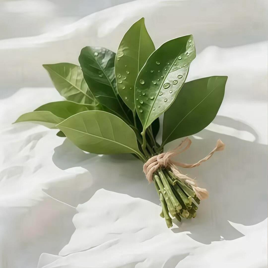 ฅʕ•̫͡•ʔฅ