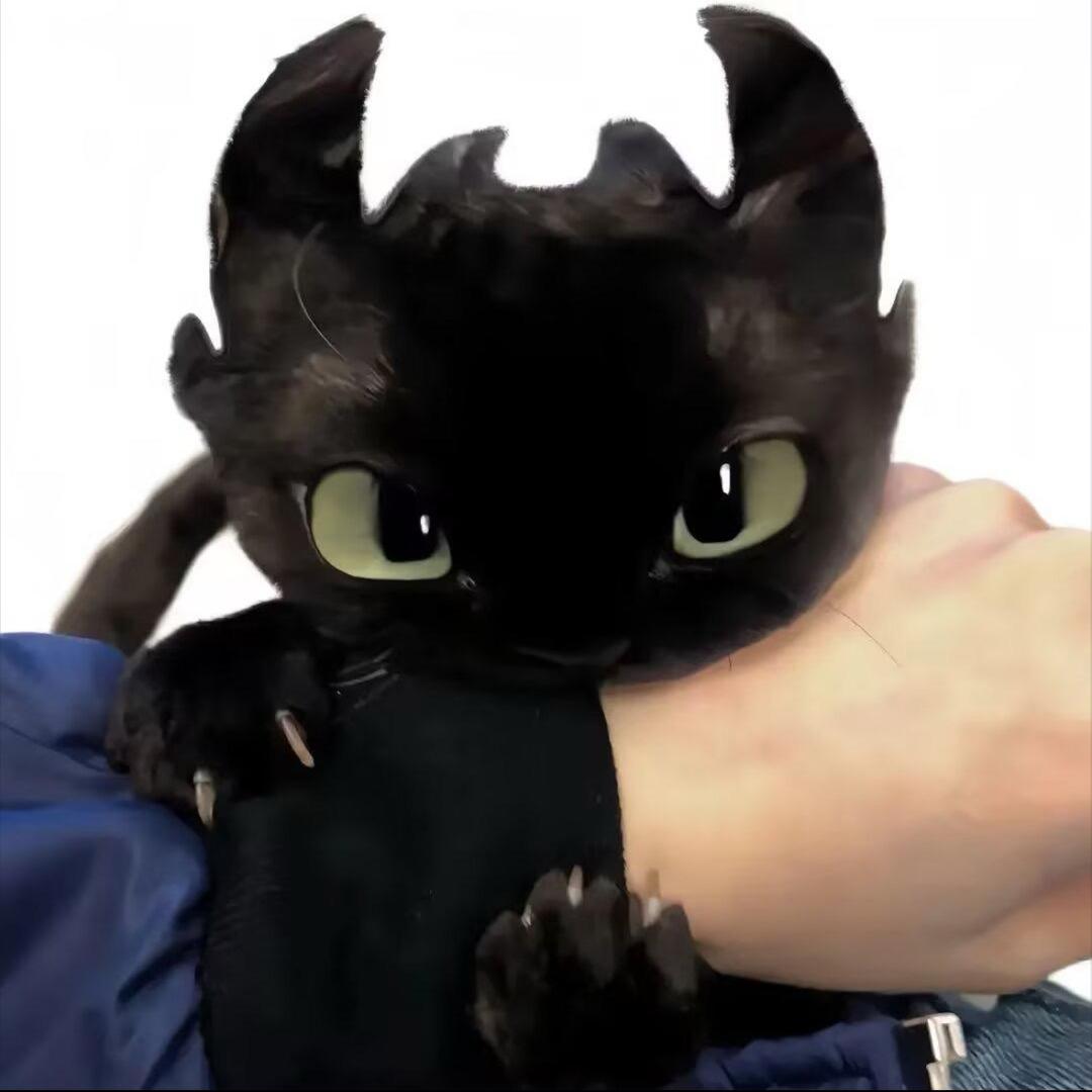 洵
