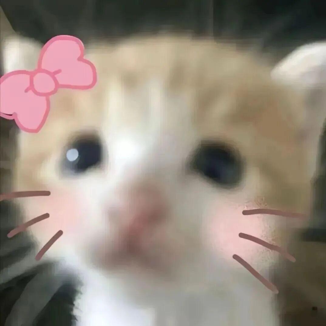 小᳐果宝᳐੭ﾞ