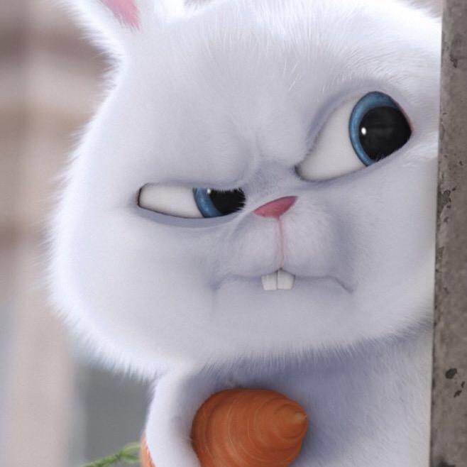 芭比兔🐰
