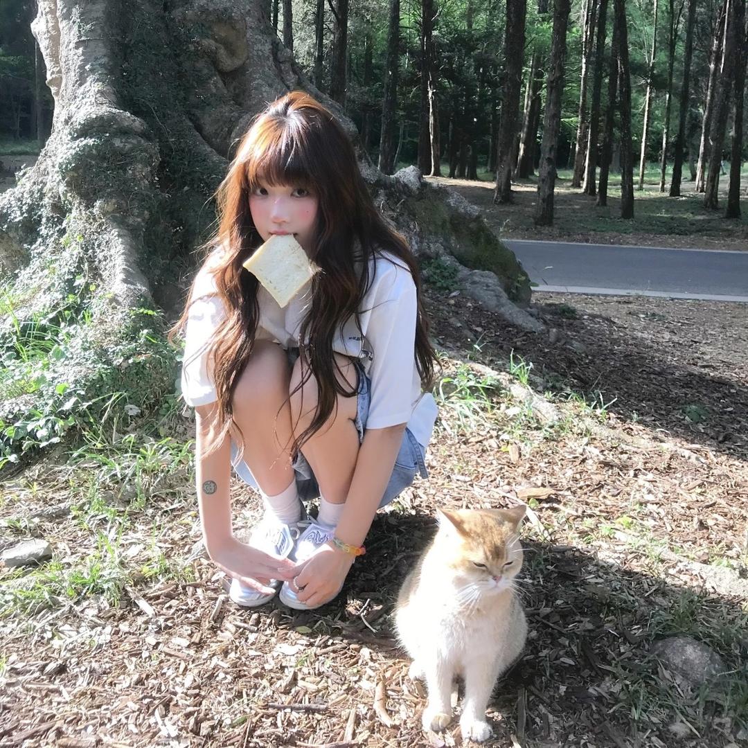 小芝士🧀