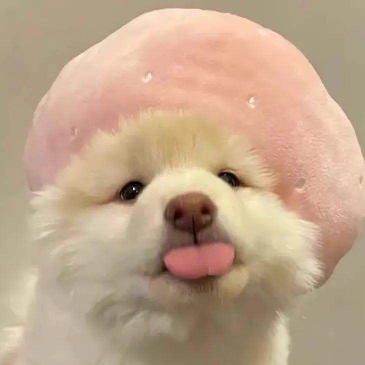 善良酷🍰