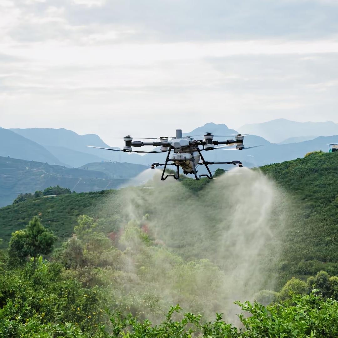 巨高竞速翼俱乐部
