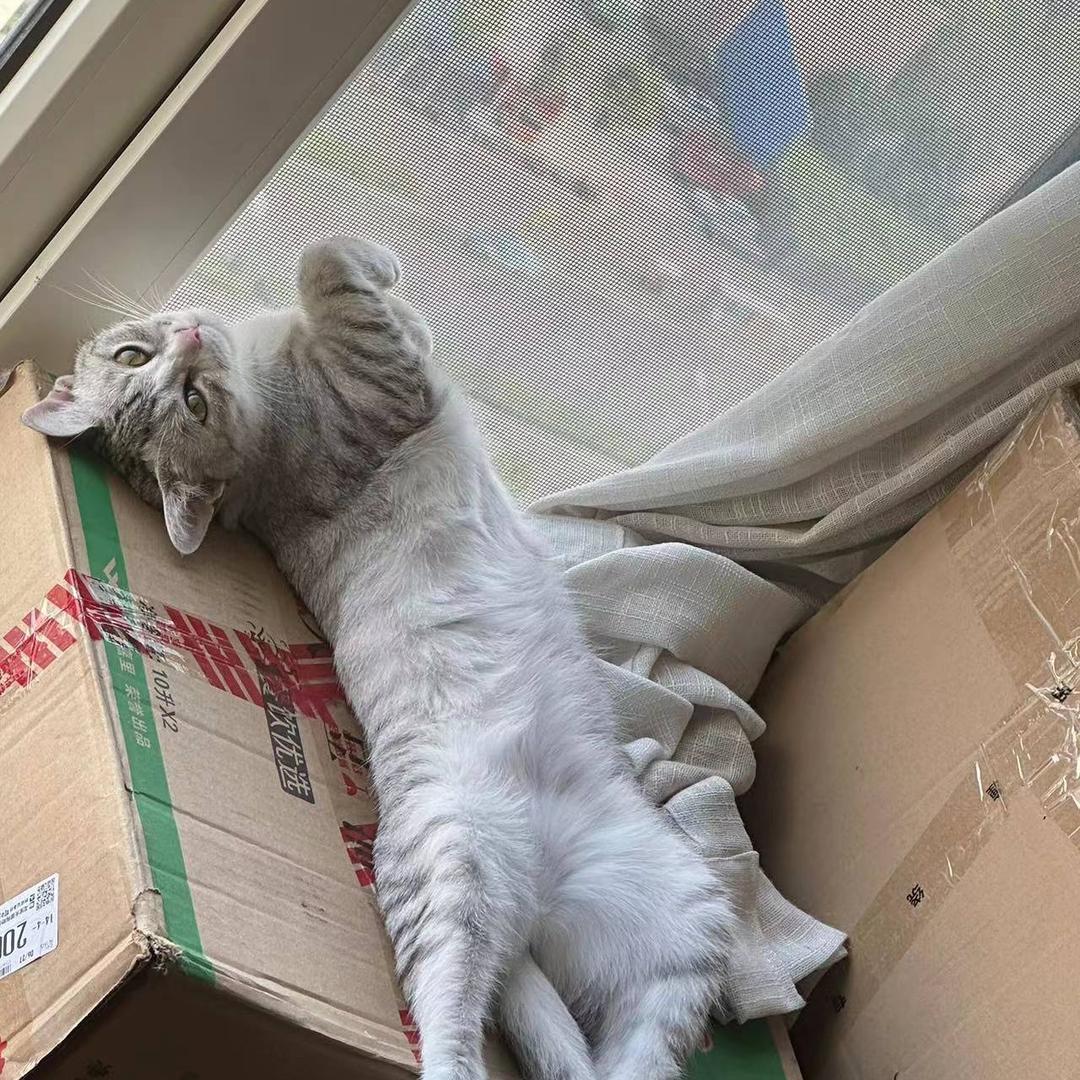 ゜Aumヾ