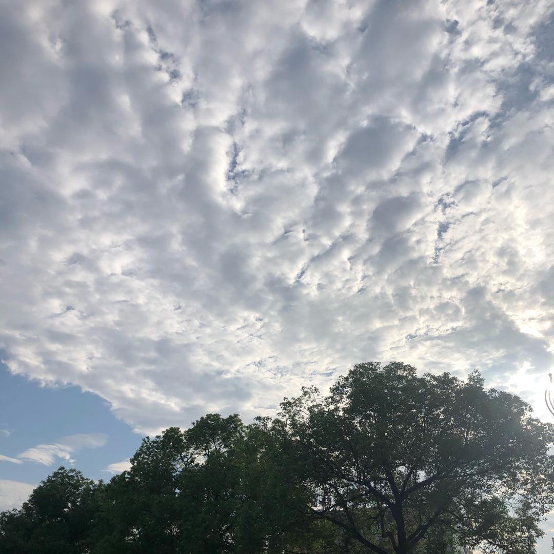 最美的时光就是遇见你