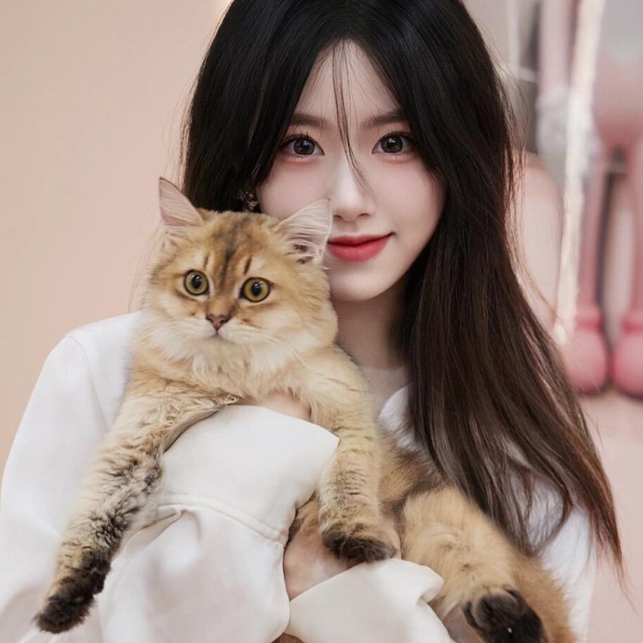 树莓baby