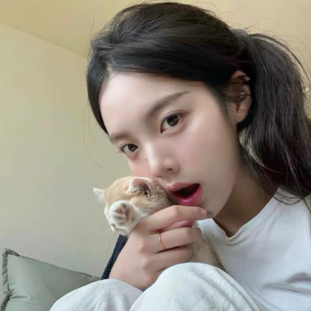 失眠的猫
