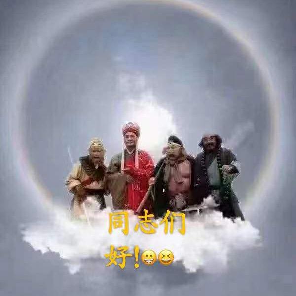 （随心而动）