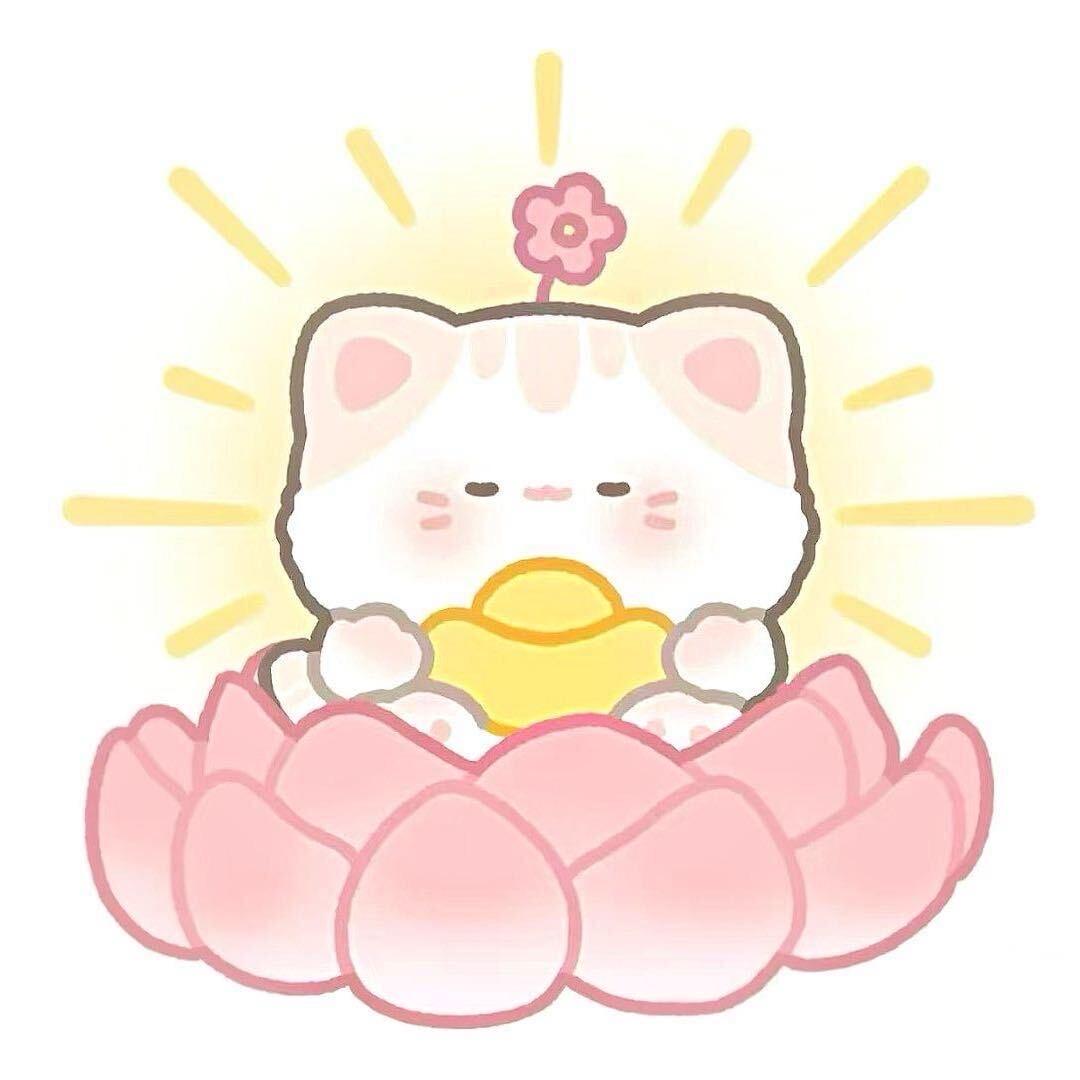酒心菩莲