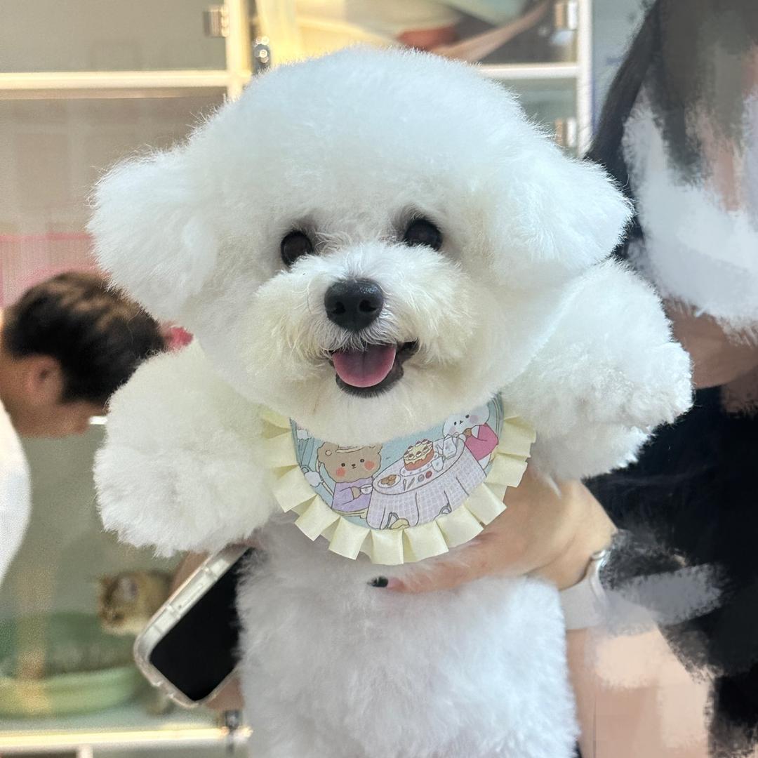 萌卷呀