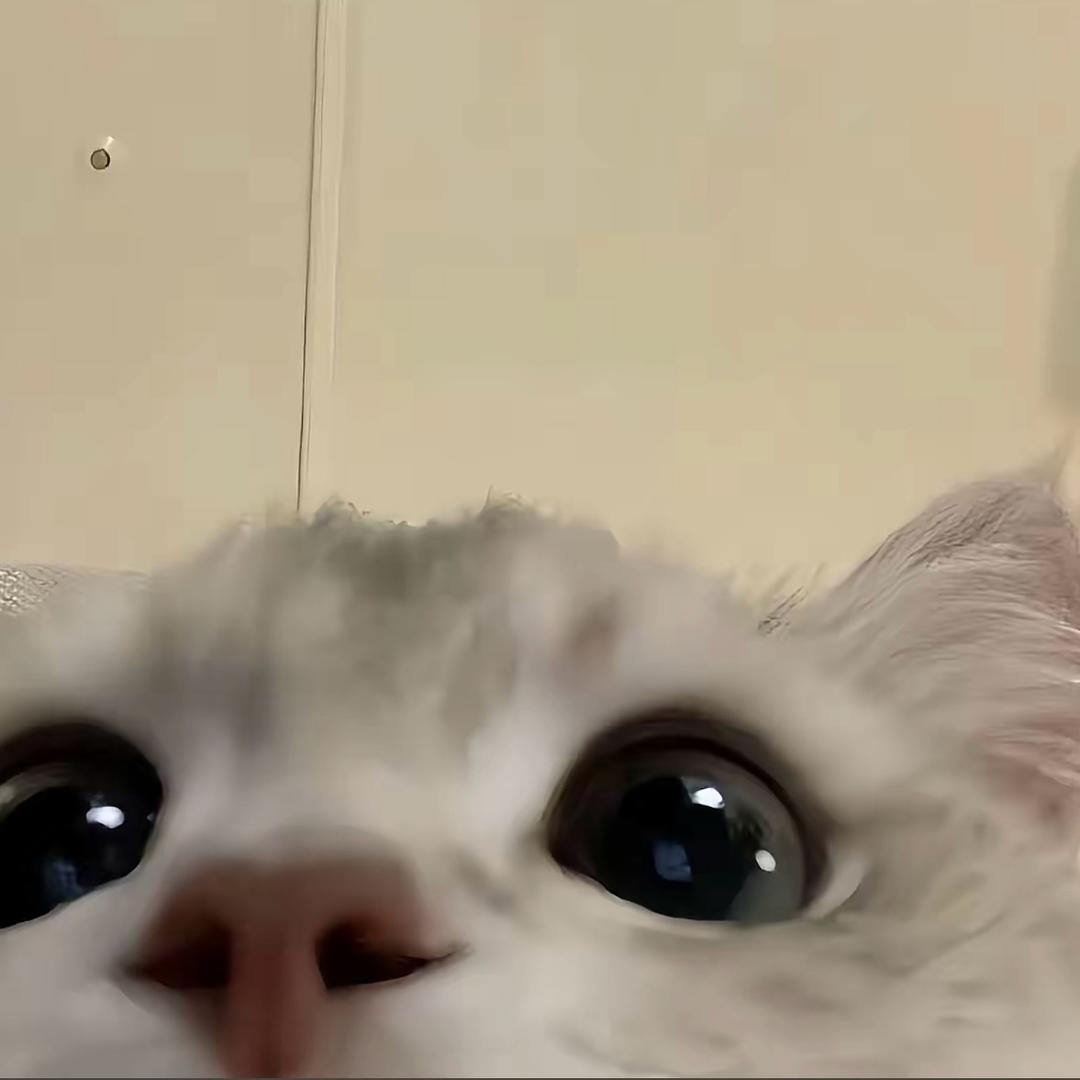 𝕏𝟙𝕟𝕐𝕦