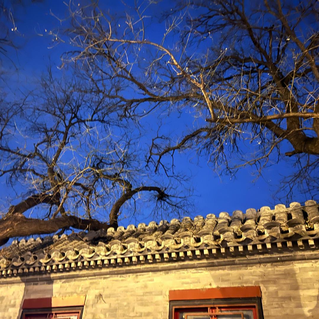 皎皎