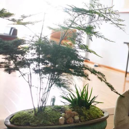 探窑陶瓷企业店