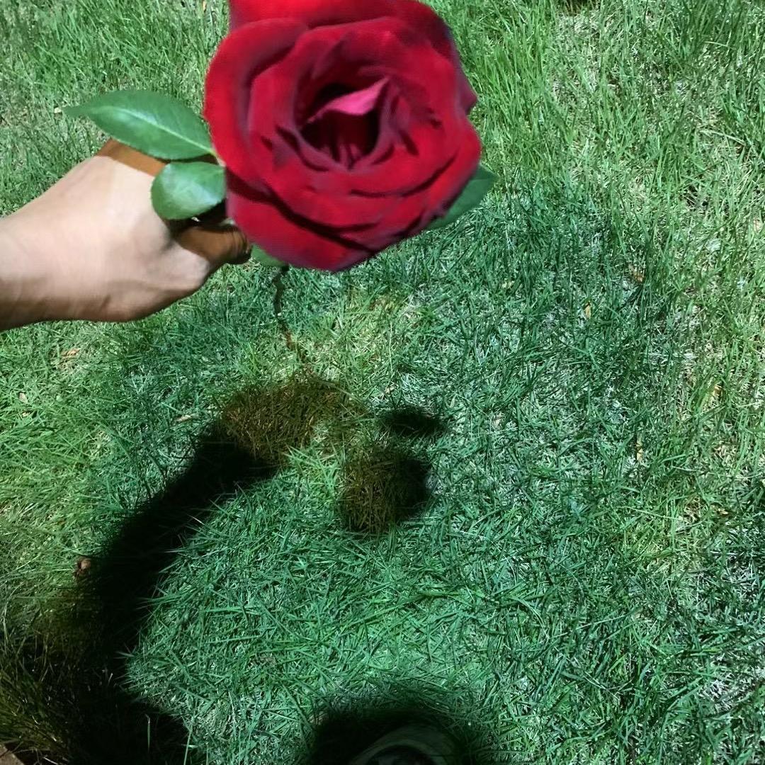 朕