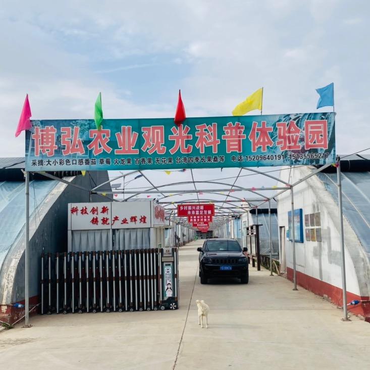 固原姚磨草莓采摘园（宁夏博弘农业）