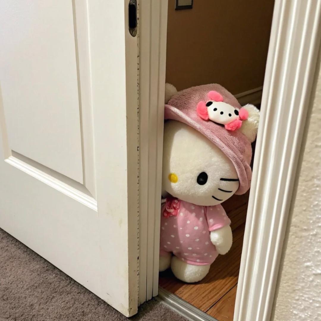 糕糕~