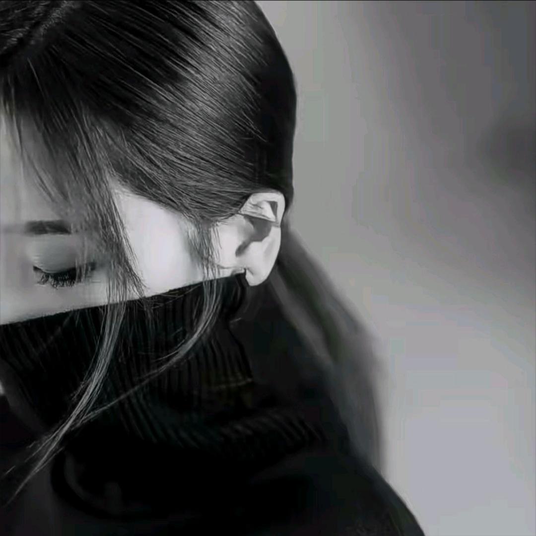 🫧🫧黄玫瑰🫧🫧
