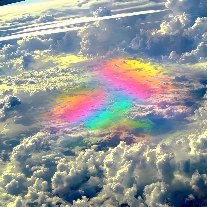 树下听雨