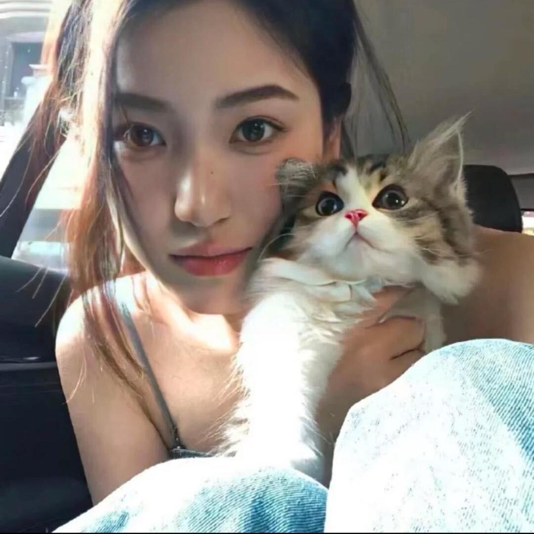 航 。