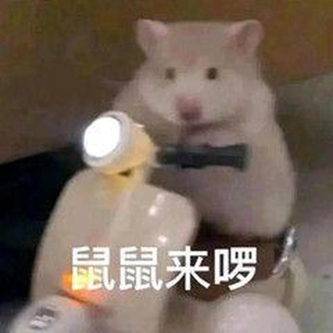 麦麦头像