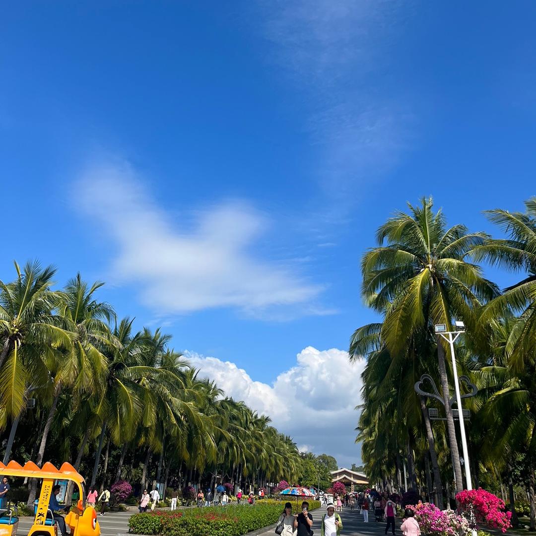 带给大家最真实的舞台剧