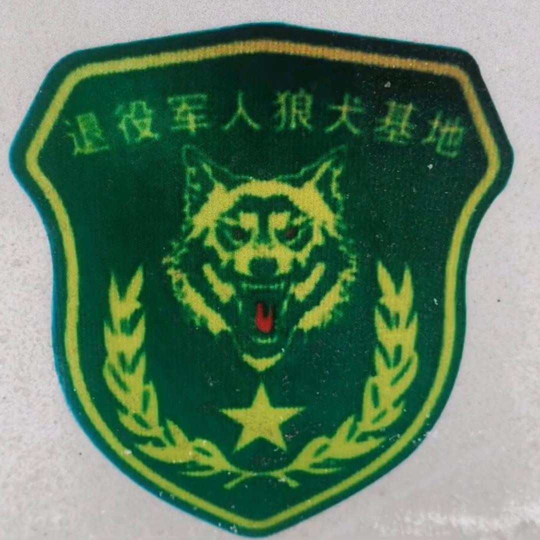 狼犬驯养繁殖基地