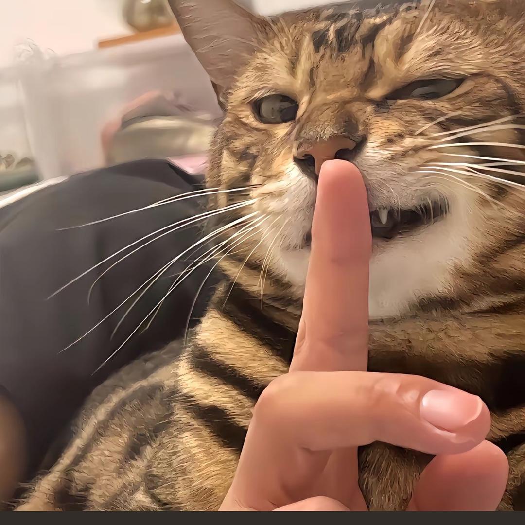 T  r