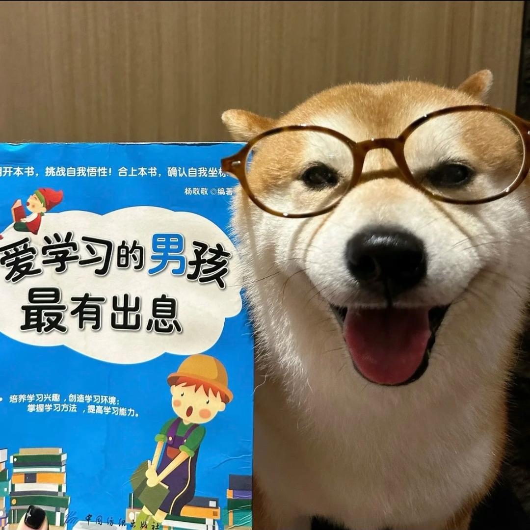 天天睡不醒😴