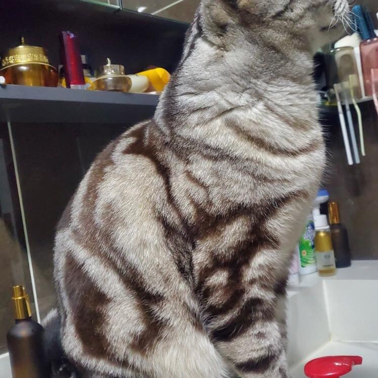 豆豆好物推荐