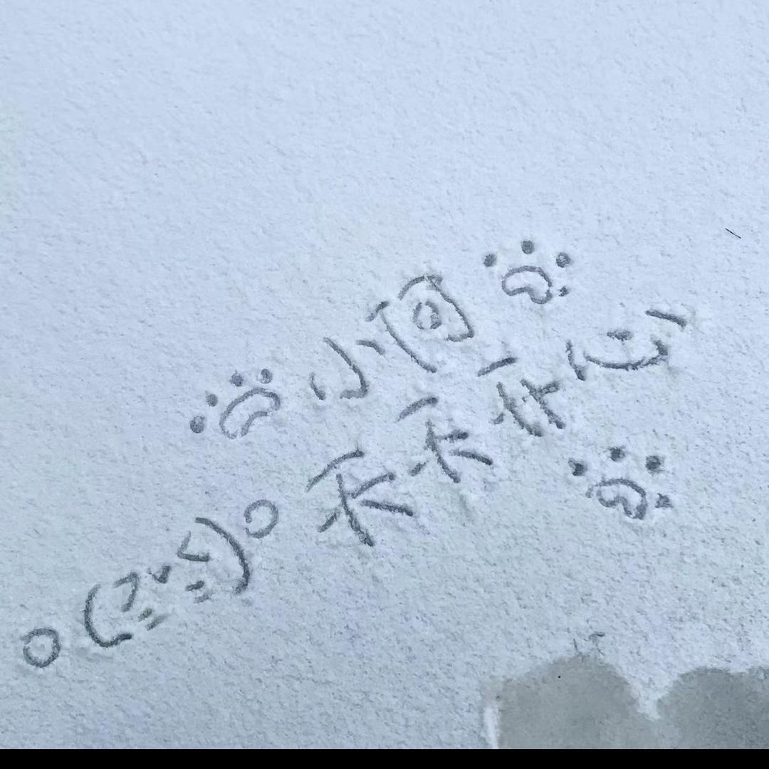 性感母蟑螂
