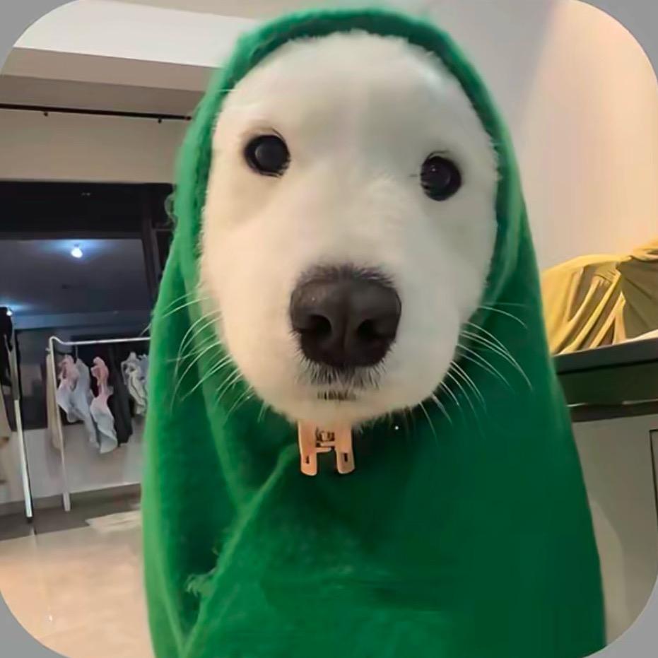 蓝莓🫐