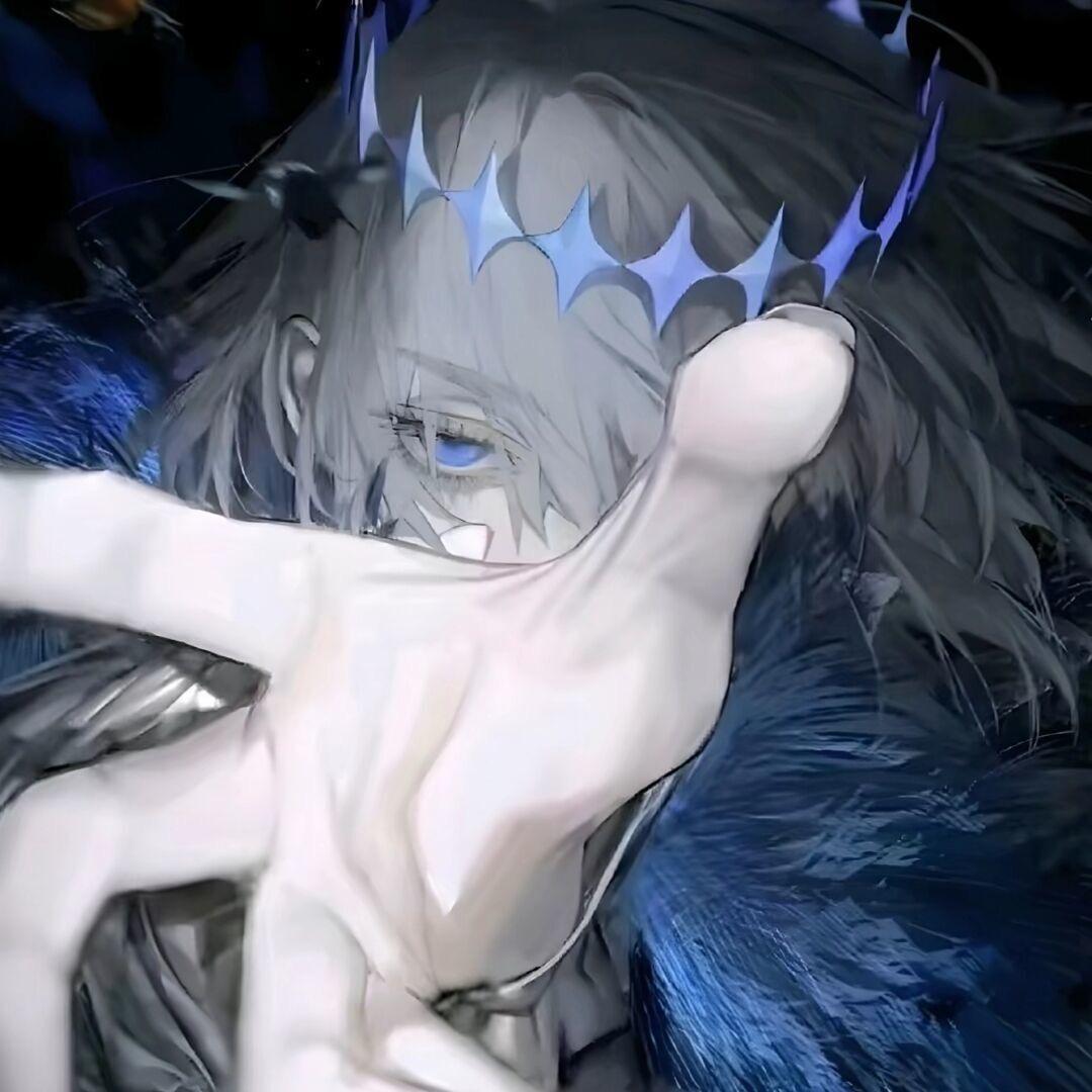 飞鸟了