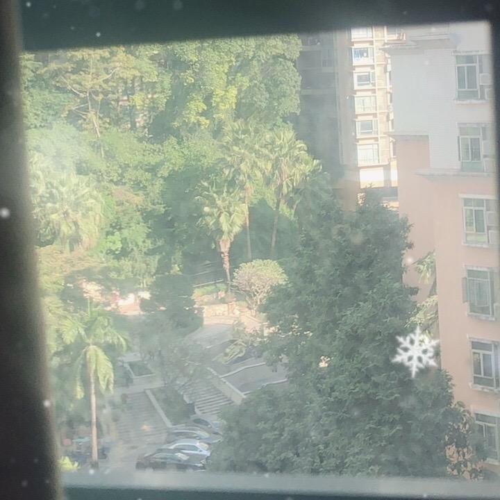 白云深处有旺旺