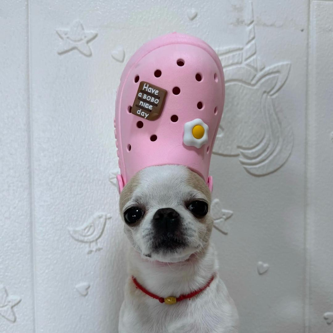 嗯？