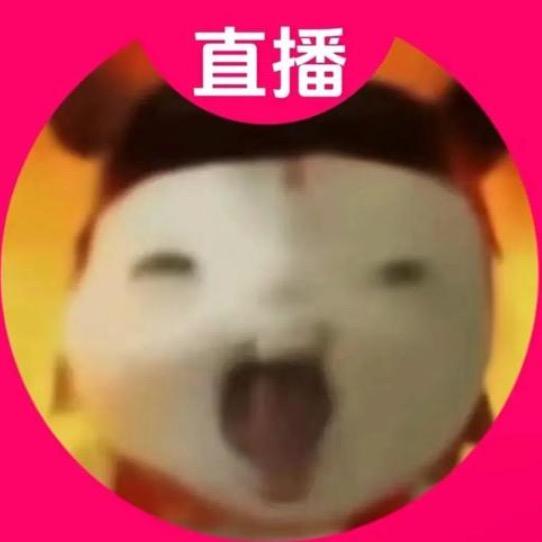 小猫泪