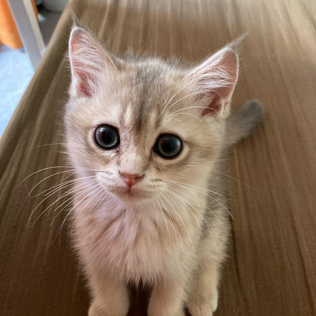明天会更美好