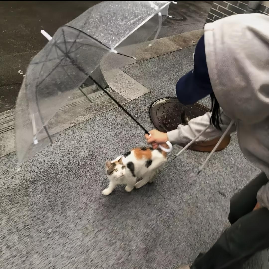 185大帅哥