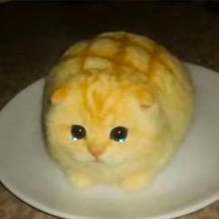 水也.