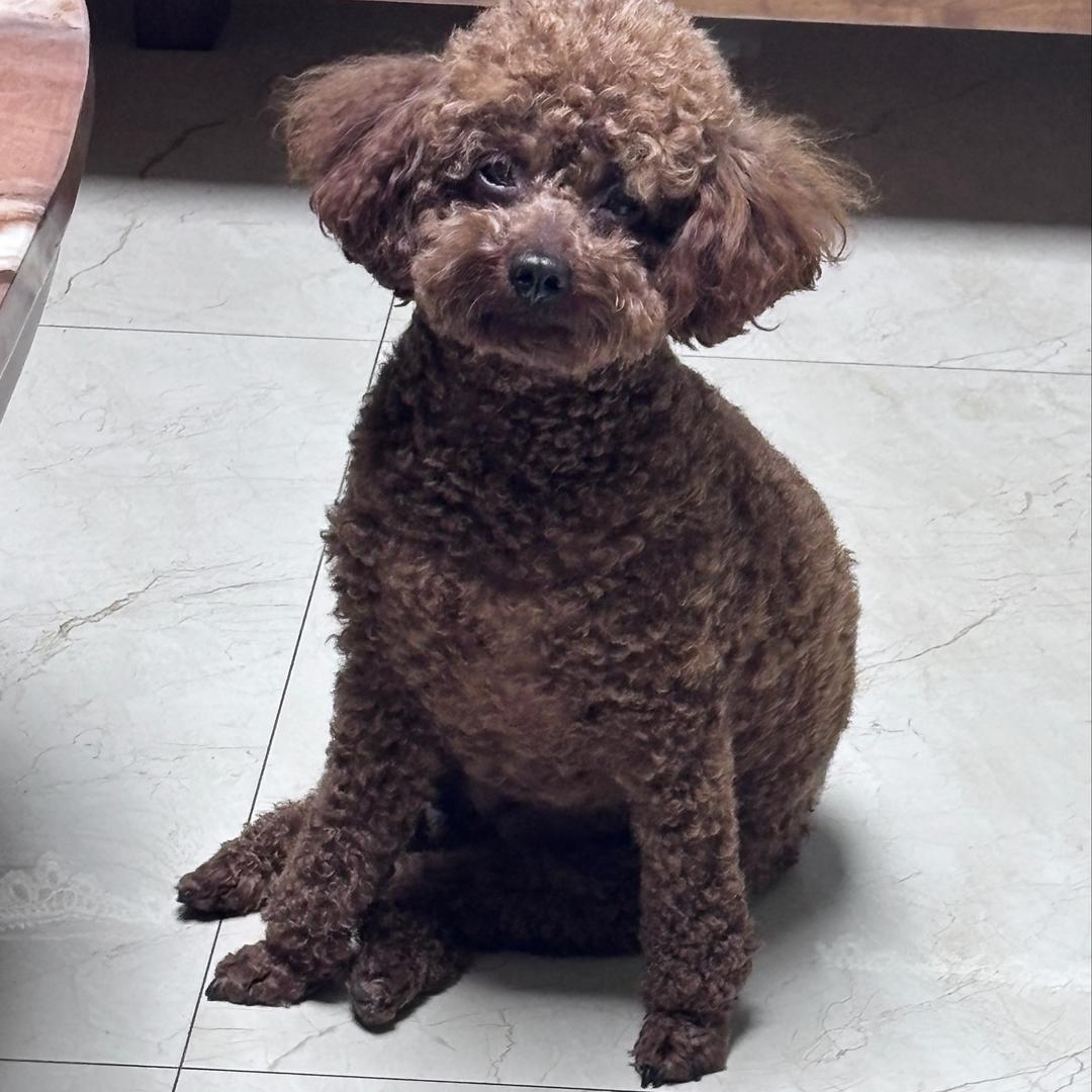 晚睡不起