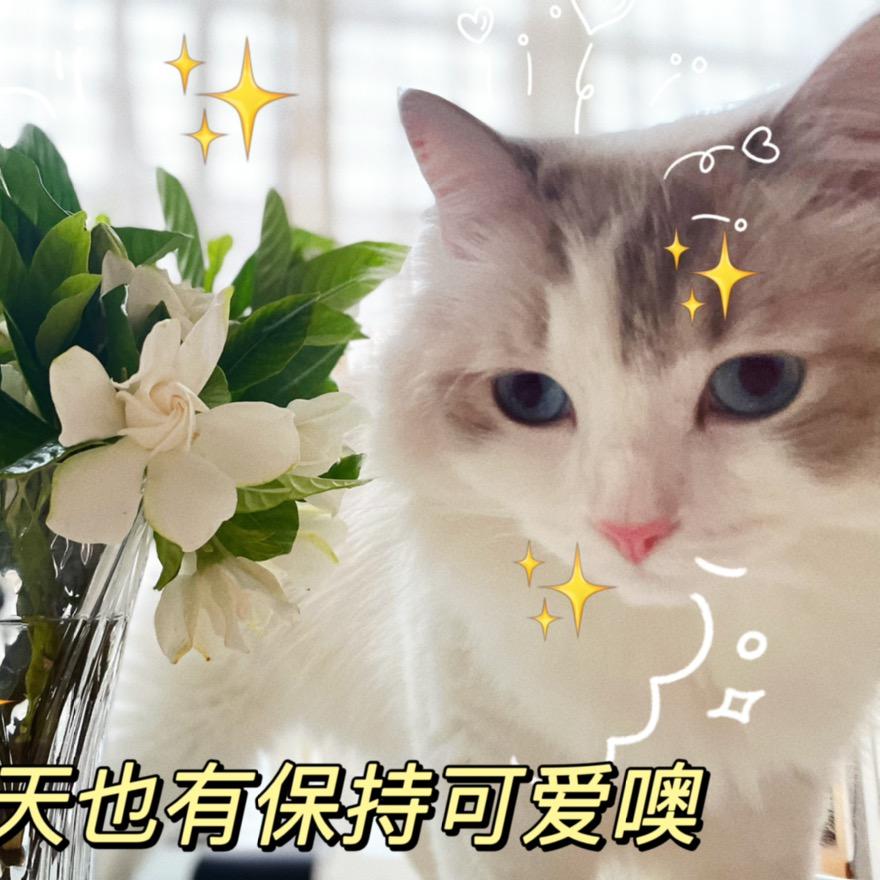 悠然