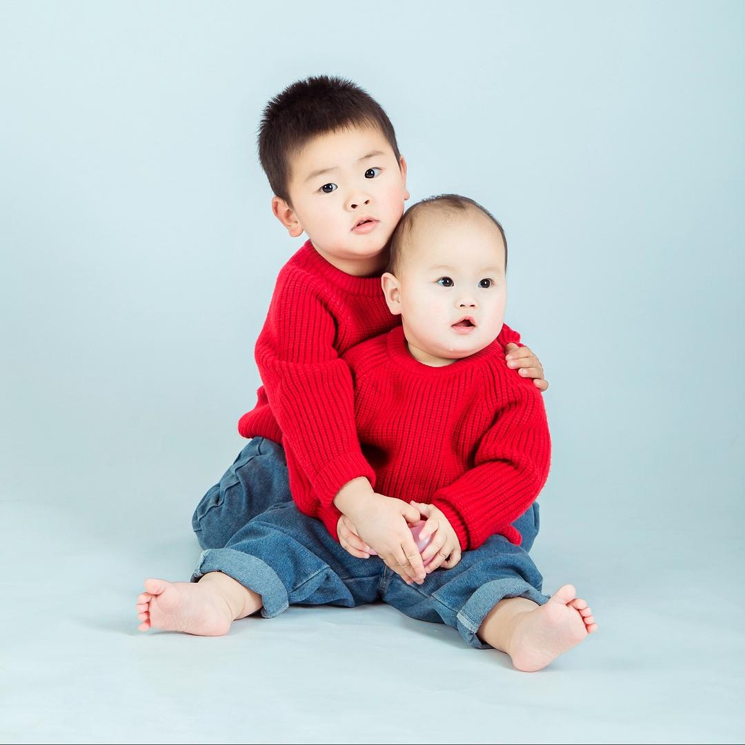 小马养殖服务
