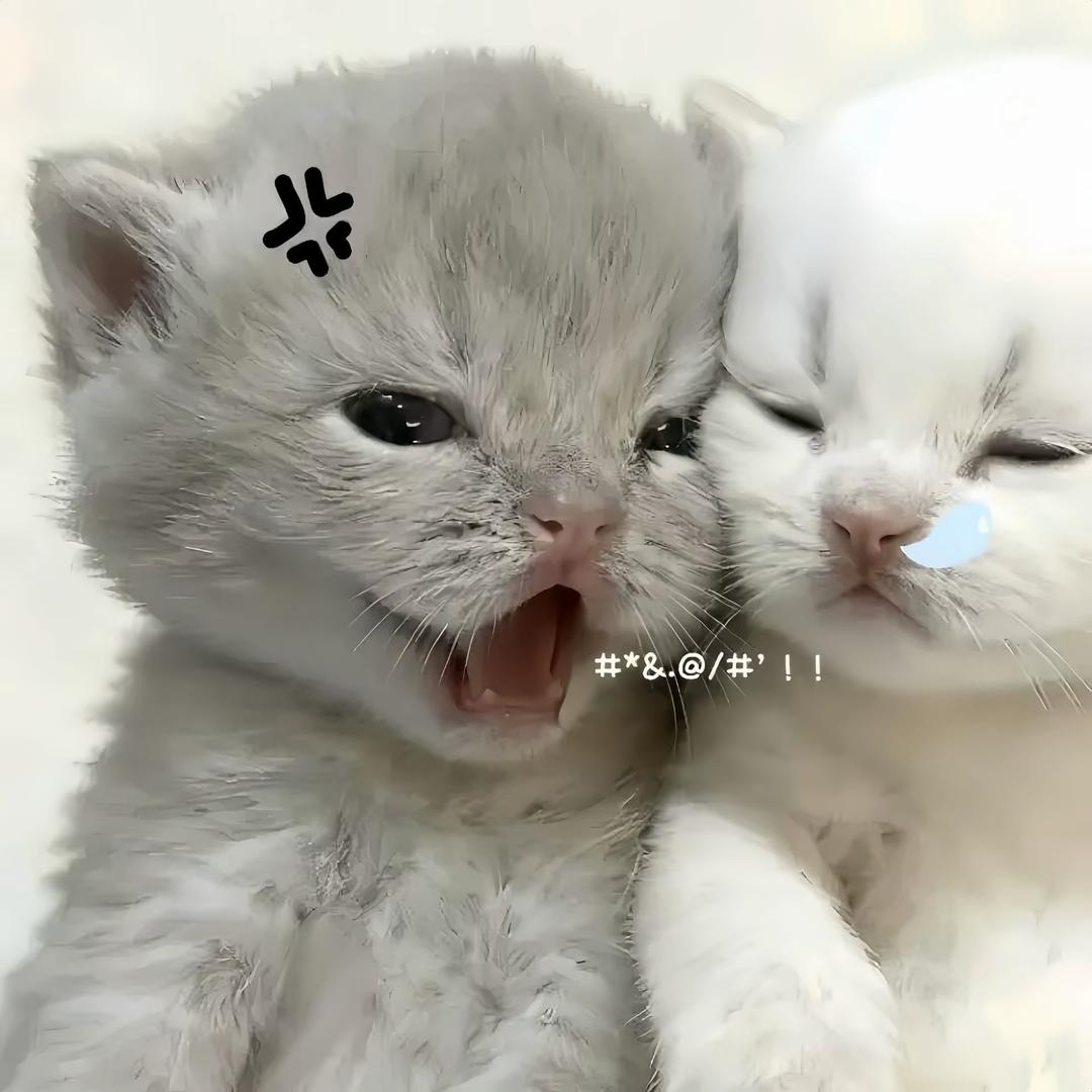 秃噜梦琪