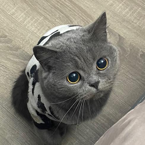@杨杨