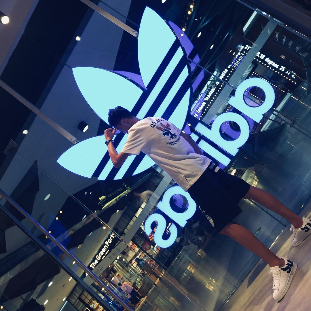 大智