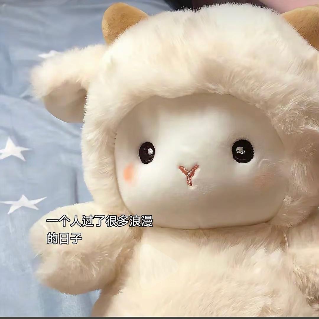 小太阳🌞上海网约车