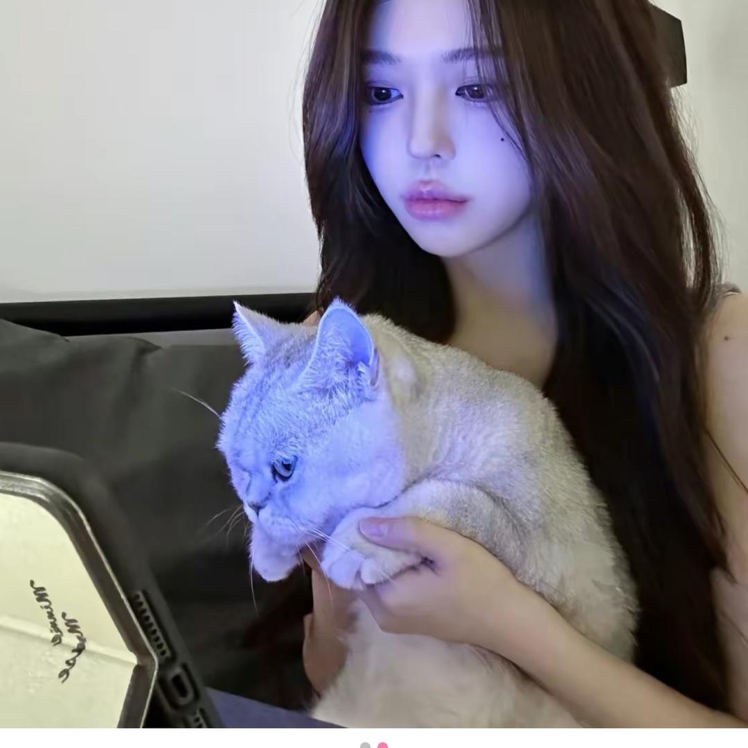 ~~~。