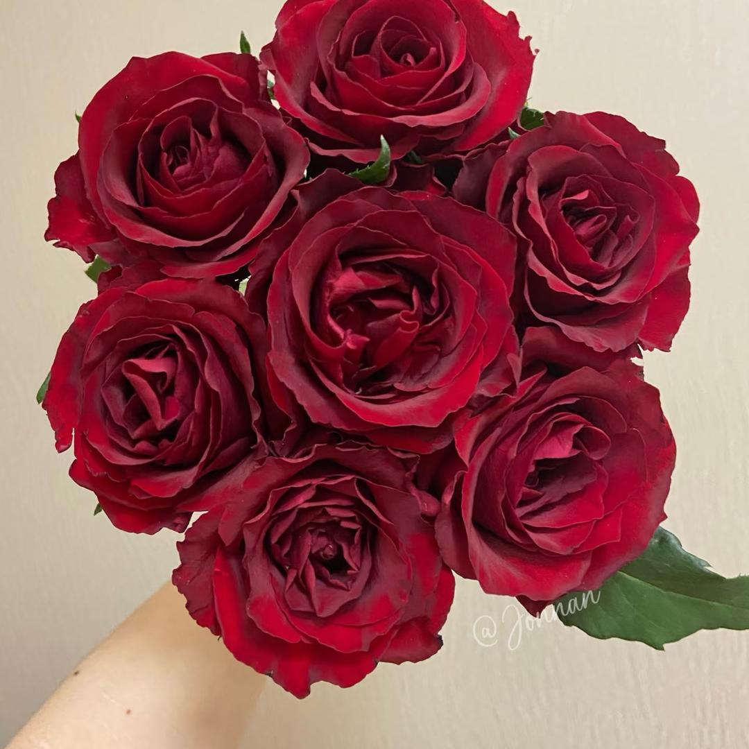 A云南鲜花批发