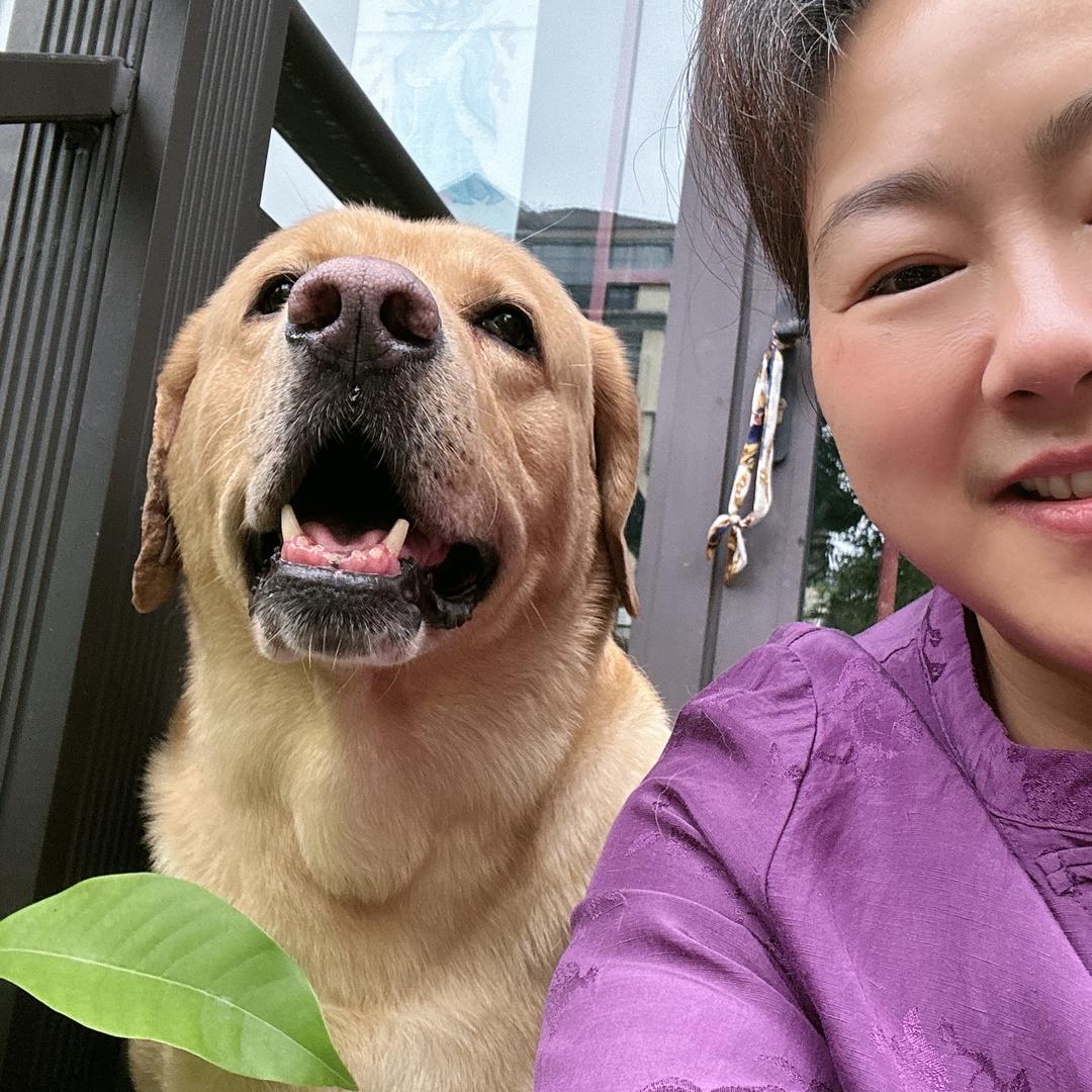 多多麻麻